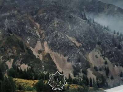 Жетісу облысындағы орман өрті өшірілді (ВИДЕО)