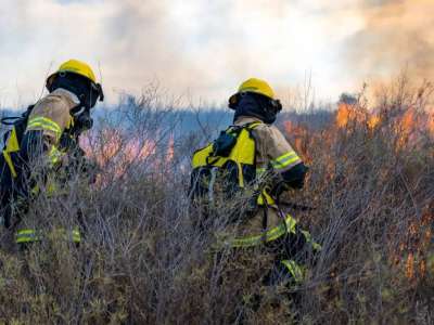 ТЖМ азаматтарды табиғатта өрт қауіпсіздігі ережелерін сақтауға шақырды