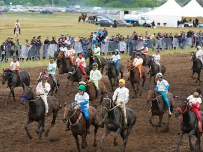120 млн теңге: Елорда бәйге түрлерінен ауқымды «Астана кубогын» қабылдайды