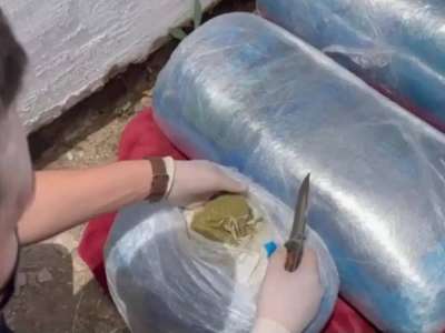 Абай облысында күдіктіден 100 келіден астам марихуана мен 7 келі гашиш тәркіленді