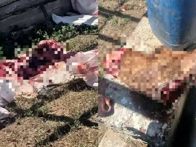 Ақтөбе облысында бұланды заңсыз атқан тұрғын анықталды