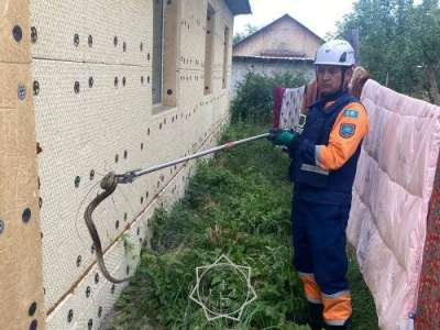 ТЖМ құтқарушылары жеке үйдің ауласынан жылан ұстап алды