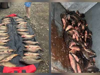 «Бурабай» ұлттық паркінде заңсыз балық аулаған браконьерлер ұсталды