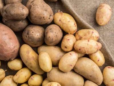 Картоп бағасын тұрақтандыру: 49 заң бұзушылық тіркелді