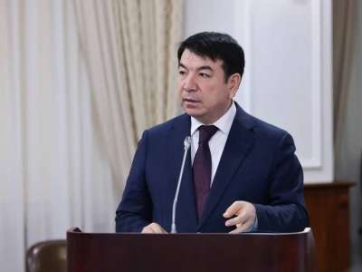 Тоғыз мың педагог мүгедек балалармен жұмыс істейді - Ғани Бейсембаев