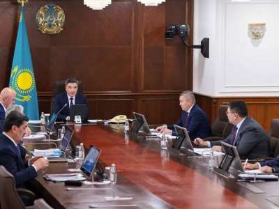 Үкіметте сирек кездесетін және жойылып бара жатқан жануарларды сақтау мәселесі қаралды