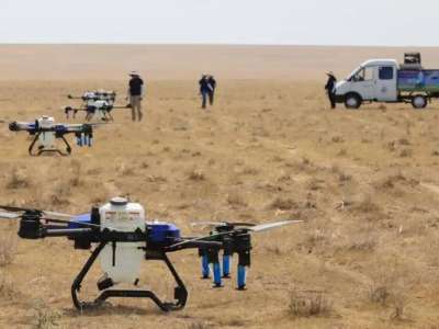 Елімізде 464 мың гектардан астам алқап шегірткеге қарсы өңделді