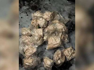 Заңсыз айналымнан 20 келі синтетикалық есірткі тәркіленді