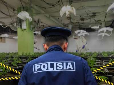 Алматыда марихуананың ірі партиясы тәркіленді
