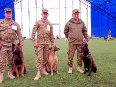 «Көктемгі кездесулер-2025»: Халықаралық иттер көрмесі өтті