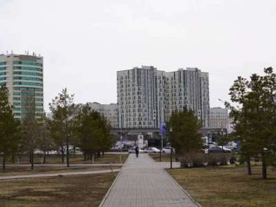 Астанада ағаштарды цифрландыру не үшін қажет