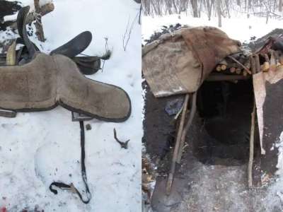 СҚО-да жылқы ұрлаған тұрғын орманда жасырынған