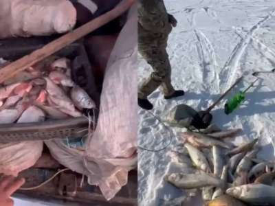 Браконьерлерден 200 келіден астам балық тәркіленді