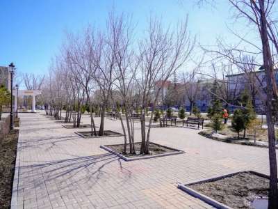 Биыл Астанада миллионға жуық жасыл желек отырғызу жоспарланып отыр