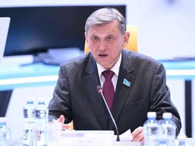 Сенатор жас қыздардың екіқабат болып қалуына алаңдаушылық білдірді