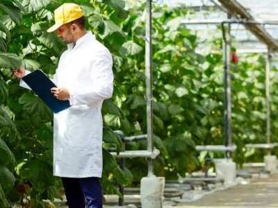 Агроөнеркәсіптік кешенде жұмыспен қамтамасыз ететін 285,5 мың өндіруші жұмыс істейді