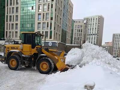 Астанада бір түнде 60 мың текше метрден астам қар шығарылды