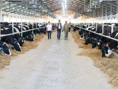 Еліміз ет экспортын жылына 50 мың тоннаға дейін арттыруды жоспарлап отыр