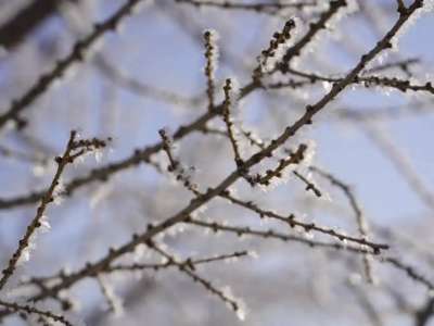 «Қар аралас жаңбыр»: еліміздің барлық өңірінде күн суытады
