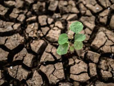 Елімізде биыл жаз қатты ыстық әрі құрғақ болады деп күтіліп отыр