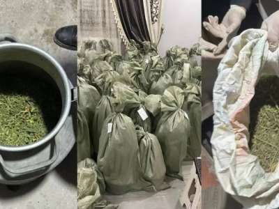 Қызылорда облысында заңсыз айналымнан 87 келіге жуық есірткі тәркіленді