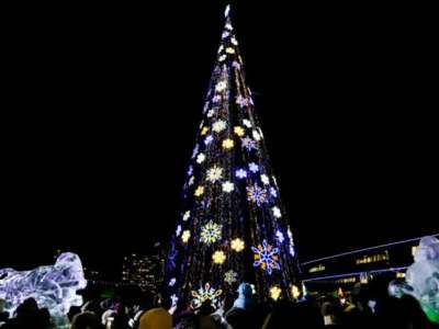 Шымкенттегі бас шырша өртенді (ВИДЕО)