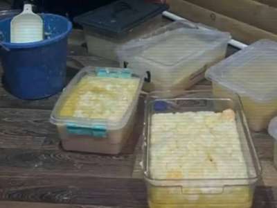 ІІМ: Синтетикалық есірткі өндірумен және өткізумен айналысқан топ жойылды