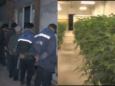 ІІМ балық шаруашылығы ретінде жасырылған есірткі бизнесін жойды