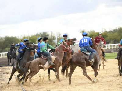 V Дүниежүзілік көшпенділер ойындары: Цифр мен дерек