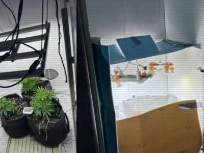 ІІМ: Полиция тәулік ішінде үш есірткі зертханасын жойды