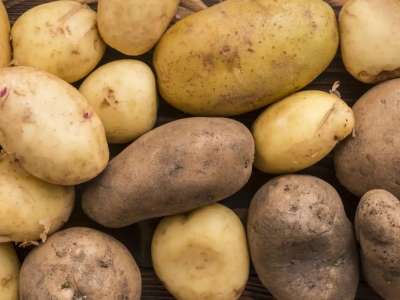 АШМ: Картоп қоры ішкі қажеттілікті толық қамтамасыз етуге жеткілікті