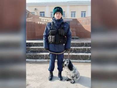 Қызметтік иттердің көмегімен 40 келіден  астам есірткі тәркіленді