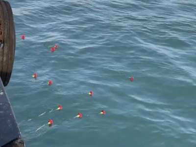 Маңғыстау облысында ұшақ апатынан қаза тапқандар құрметіне Каспий теңізіне гүл шоқтары жіберілді