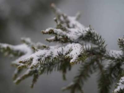 Демалыс күндері күн райы қандай болады