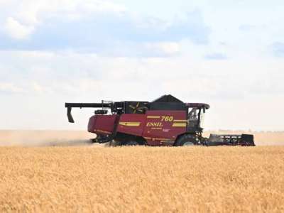 Биыл елімізде дәнді дақылдар рекордтық көлемде жиналды