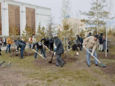 «Таза Қазақстан» : Байқоңыр ауданында екі мыңнан аса ағаш пен бұта отырғызылды