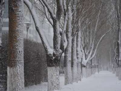 Алдағы күндерде ауа райы қандай болады