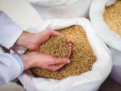 Елімізде жылына 1 млн тонна астық өндіретін жаңа терминал пайдалануға берілді