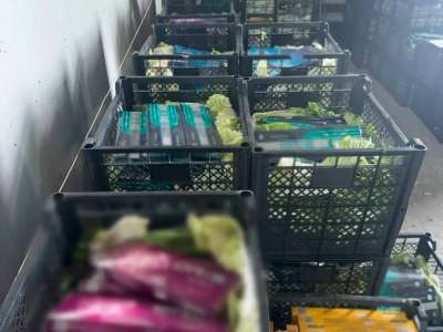 Темекі өнімдерін заңсыз тасымалдаудың жолы кесілді