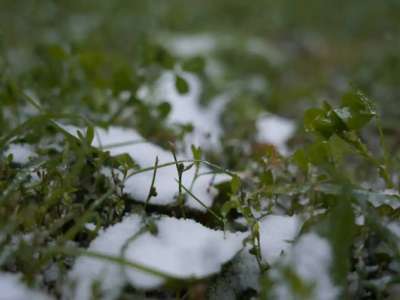 Синоптиктер алдағы үш күнге арналған ауа райы болжамын жариялады