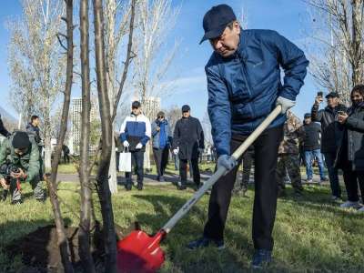 Елордада Мәжіліс депутаттары 300 ағаш отырғызды