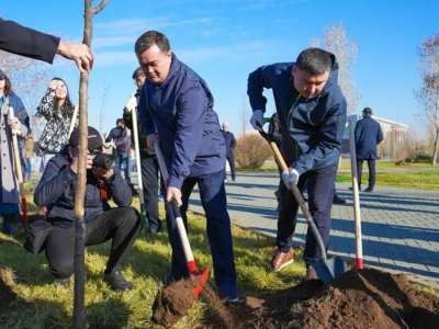 Жеңіс Қасымбек елорданы ауқымды көгалдандыру туралы айтты