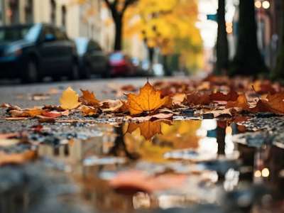 Күзде көңіл-күйді жақсартудың жолдары қандай – психологтан кеңес