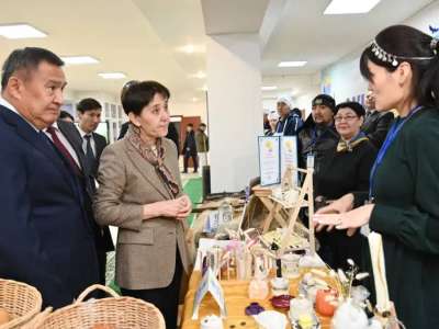 Тамара Дүйсенова «Ауыл аманаты» жобасының іске асырылу барысын тексерді