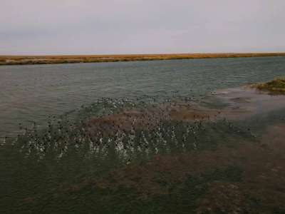 Солтүстік Арал теңізінің су көлемі 22 млрд текше метрге жетті