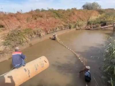 Жайық-Каспий бассейнінде 116 млн-нан астам балық құтқарылды