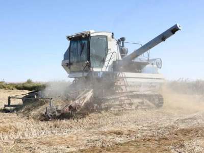 Жетісу облысында 4 мың тонна күріш жинау жоспарланып отыр
