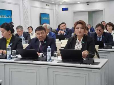 Мәслихатта елордадағы абаттандыру және көгалдандыру жұмыстары талқыланды