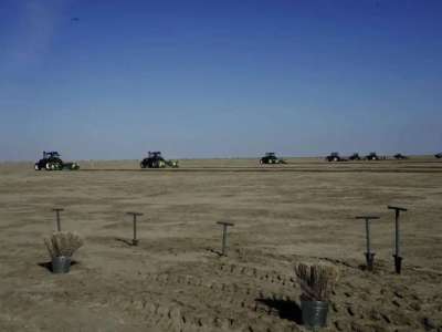 Арал теңізінің құрғаған табанына 275 мың гектар сексеуіл егіледі