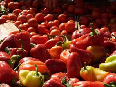 Екібастұзда «қызанақ» карантині енгізілді